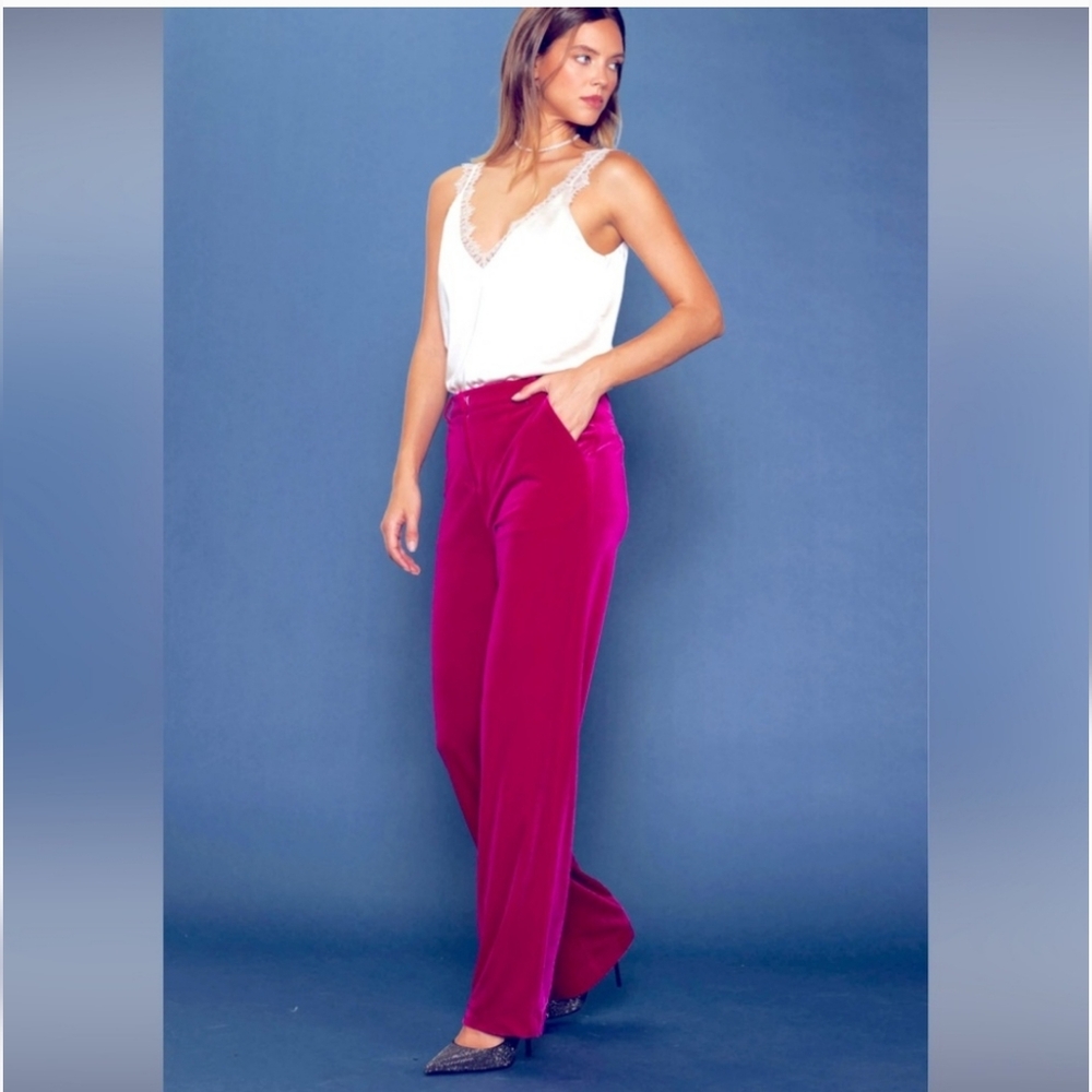 Anthropologie Skies are Blue Velvet Pants Large